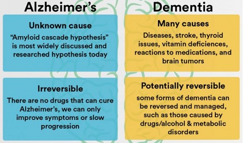 Alzheimers vs Dementia