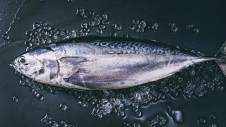 Major study finds link between eating fish and getting skin cancer